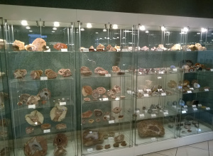 Wycieczka do Muzeum Geologicznego klas 4