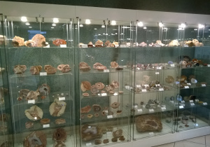 muzeum geologiczne