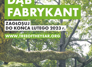 KONKURS EUROPEJSKIE DRZEWO ROKU
