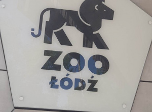 Wycieczka do ZOO klas V i koła turystycznego.