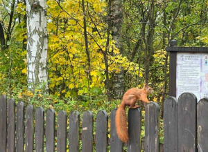 Z wizytą w Ogrodzie Botanicznym.
