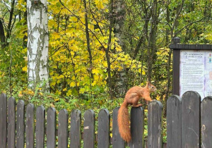 z wizytą w Ogrodzie Botanicznym.