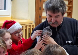 pomagamy zwierzętom