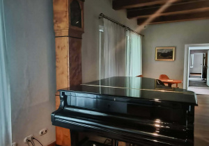 Żelazowa Wola