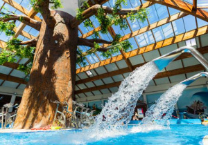 Aquapark „Fala”.