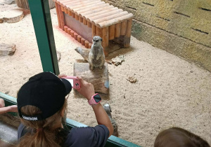 wycieczka do Zoo
