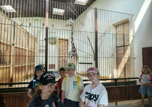 wycieczka do Zoo